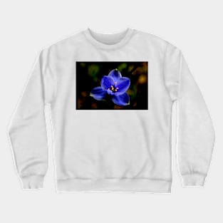 Blue Stars Crewneck Sweatshirt